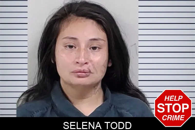 Selena Todd mugshot – Lowndes County , Georgia Selena Todd mugshot