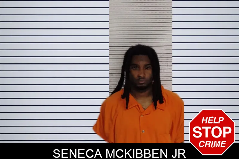 Seneca McKibben Jr mugshot – Rockdale County , Georgia Seneca McKibben Jr mugshot