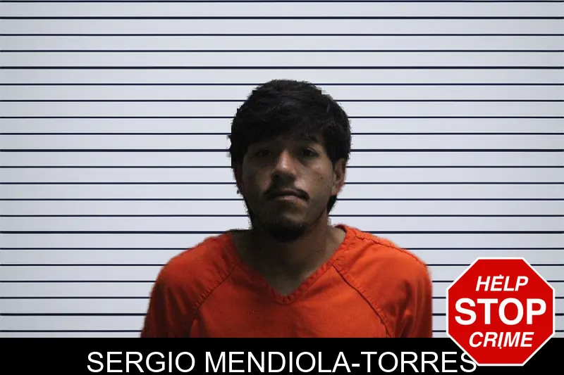 Sergio Mendiola-Torres mugshot