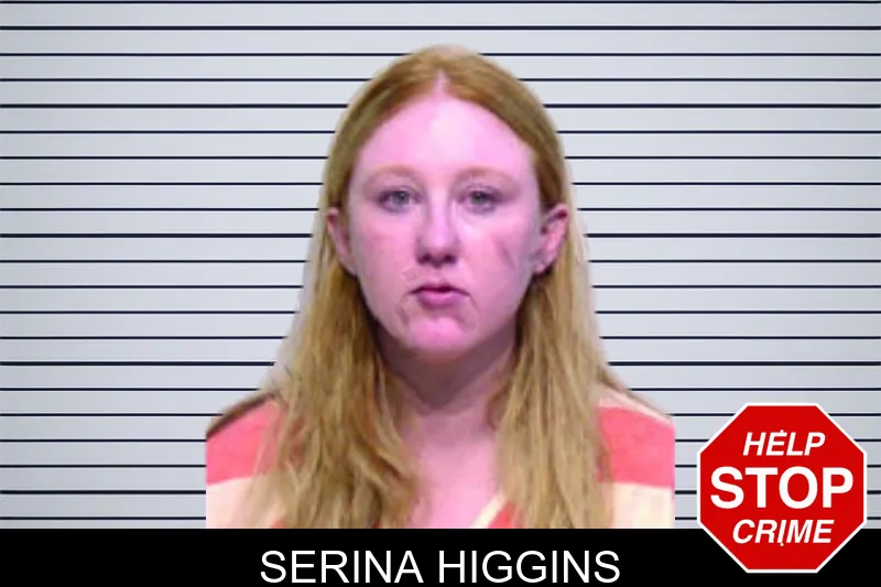 Serina Higgins mugshot – Bartow County , Georgia Serina Higgins mugshot