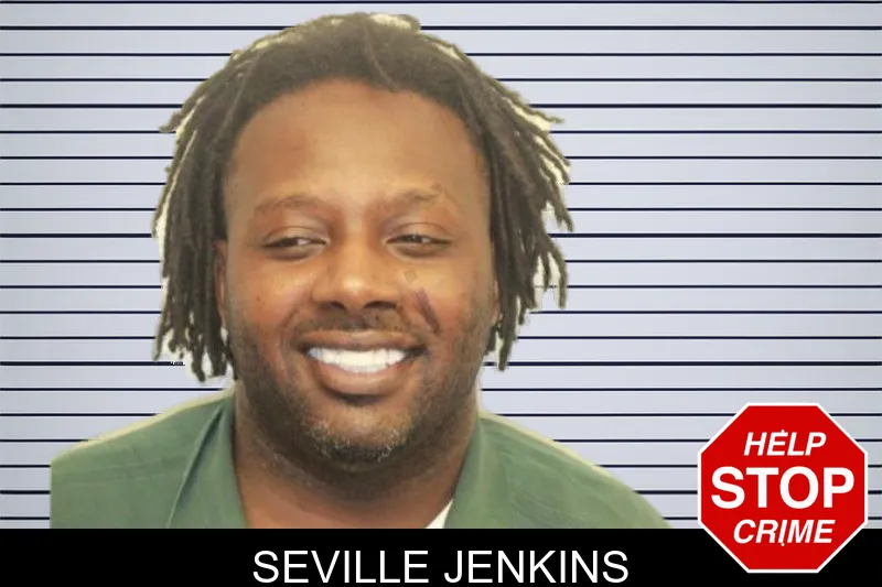 Seville Jenkins mugshot – Chatham County , Georgia Seville Jenkins mugshot