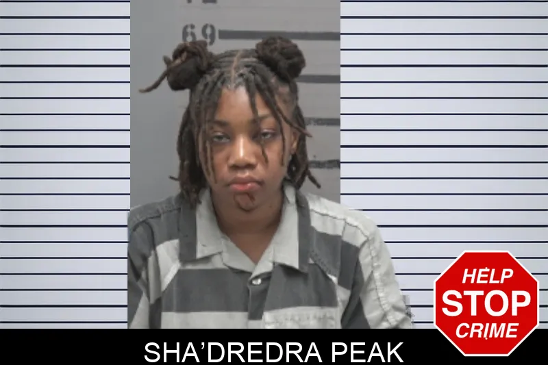 Sha’Dredra Peak mugshot – Dougherty County , Georgia Sha’Dredra Peak mugshot