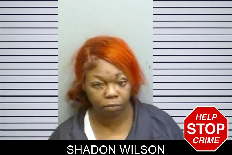 Shadon Wilson mugshot – Fulton County , Georgia Shadon Wilson mugshot