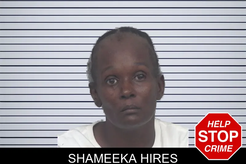 Shameeka Hires mugshot – Gwinnett County , Georgia Shameeka Hires mugshot
