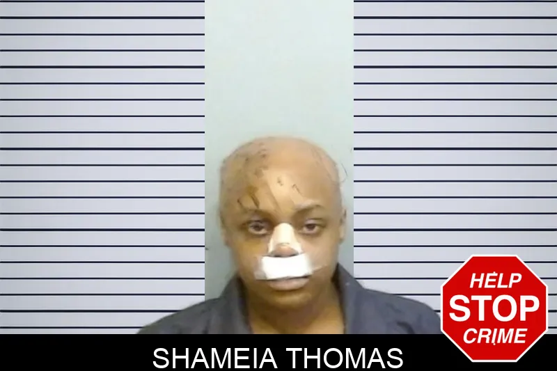 Shameia Thomas mugshot