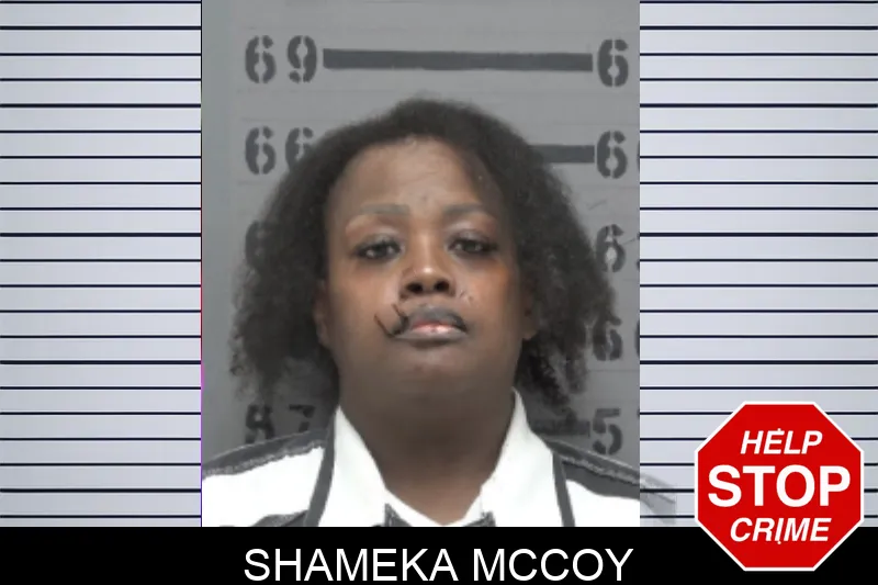 Shameka McCoy mugshot – Dougherty County , Georgia Shameka McCoy mugshot