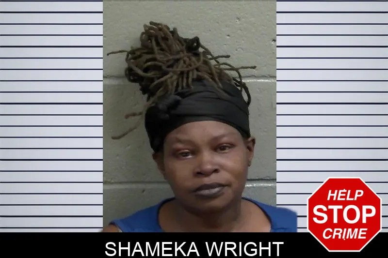 Shameka Wright mugshot – Wayne County , Georgia Shameka Wright mugshot