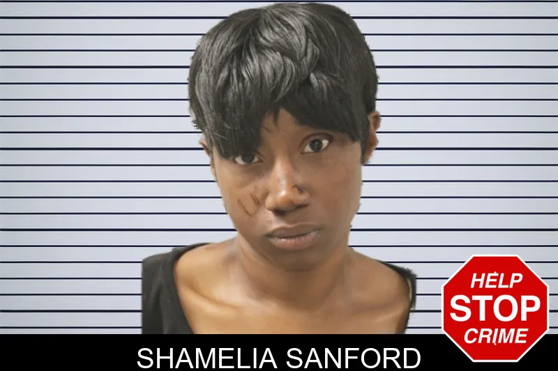 Shamelia Sanford mugshot – Toombs County , Georgia Shamelia Sanford mugshot