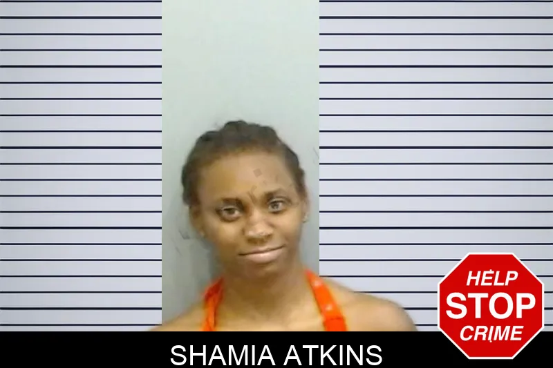 Shamia Atkins mugshot – Fulton County , Georgia Shamia Atkins mugshot