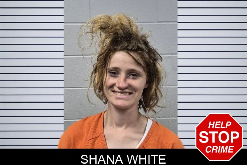 Shana White mugshot – Dade County , Georgia Shana White mugshot