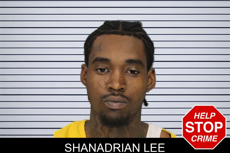 Shanadrian Lee mugshot – Cobb County , Georgia Shanadrian Lee mugshot