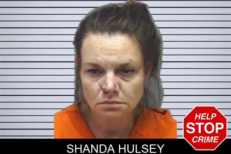 Shanda Hulsey mugshot