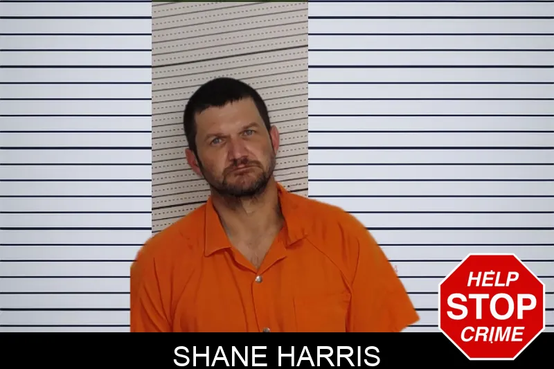 Shane Harris mugshot – Rockdale County , Georgia Shane Harris mugshot