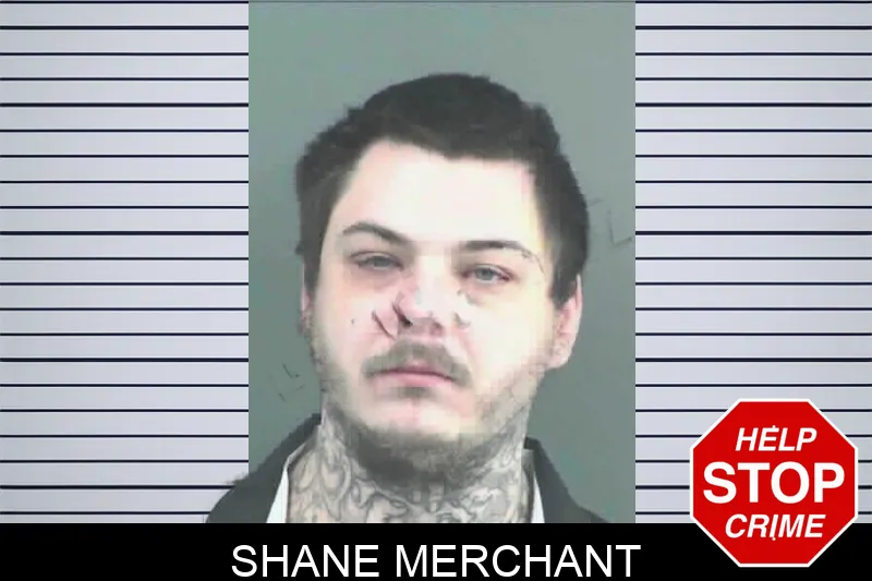 Shane Merchant mugshot