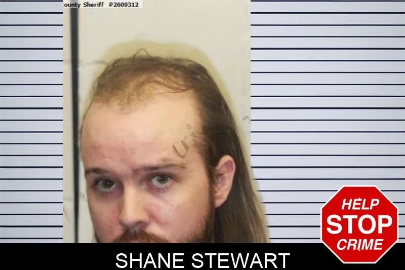 Shane Stewart mugshot – Chatham County , Georgia Shane Stewart mugshot