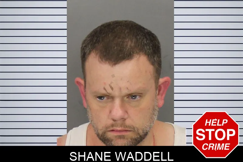 Shane Waddell mugshot – Cobb County , Georgia Shane Waddell mugshot