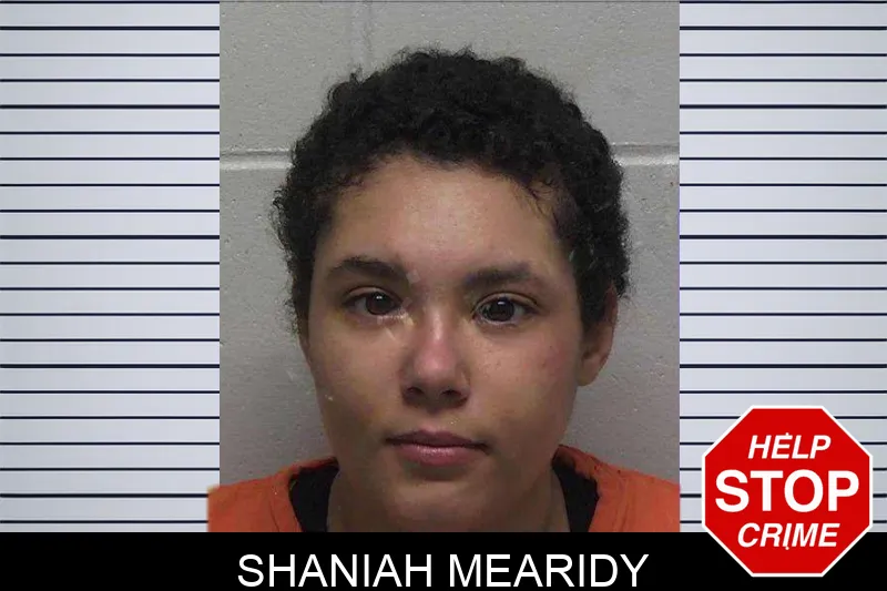Shaniah Mearidy mugshot – Laurens County , Georgia Shaniah Mearidy mugshot