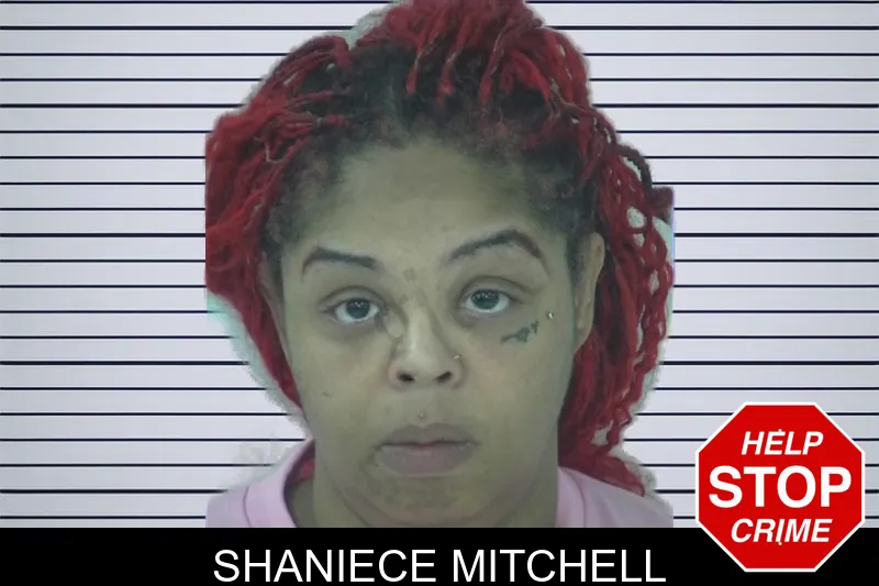Shaniece Mitchell mugshot – Fayette County , Georgia Shaniece Mitchell mugshot