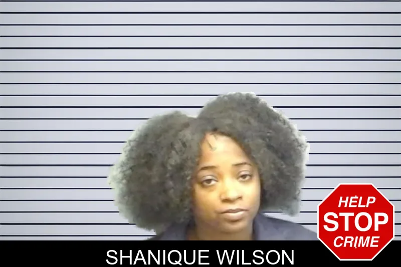 Shanique Wilson mugshot