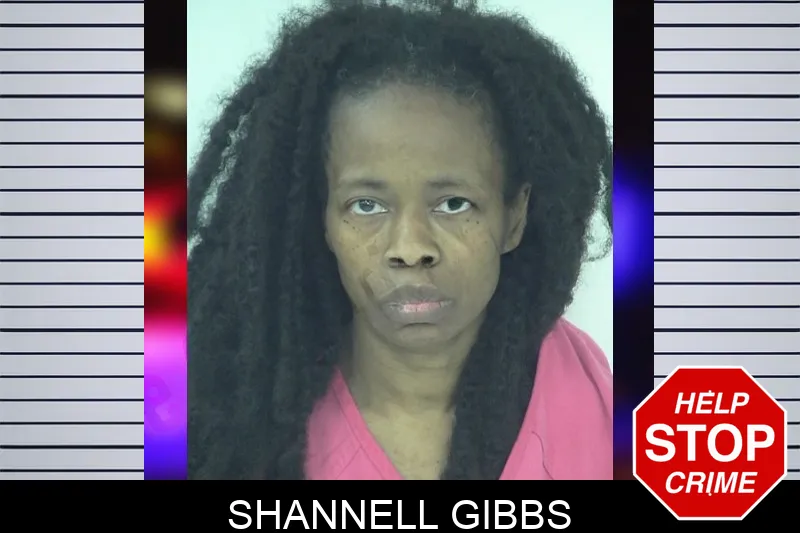 Shannell Gibbs mugshot – Fayette County , Georgia Shannell Gibbs mugshot
