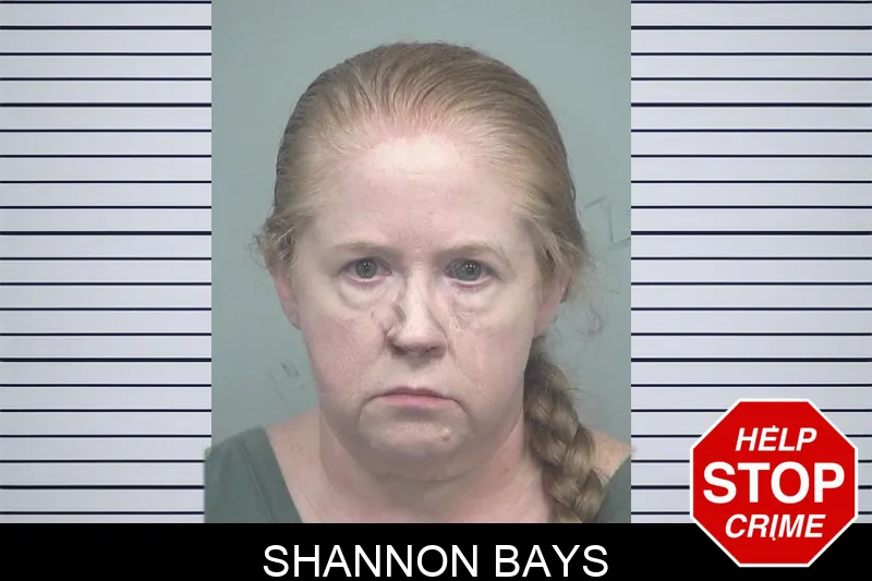 Shannon Bays mugshot – Gwinnett County , Georgia Shannon Bays mugshot