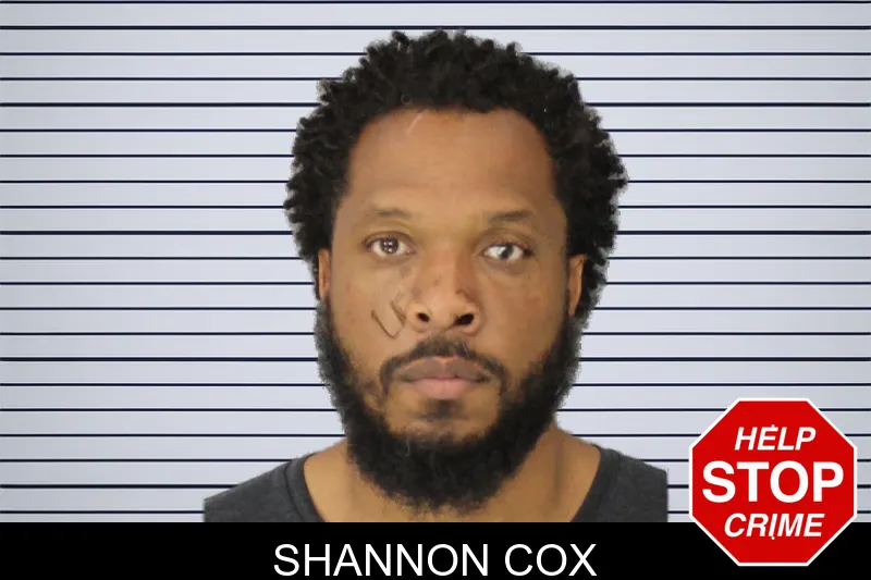 Shannon Cox mugshot – Cobb County , Georgia Shannon Cox mugshot