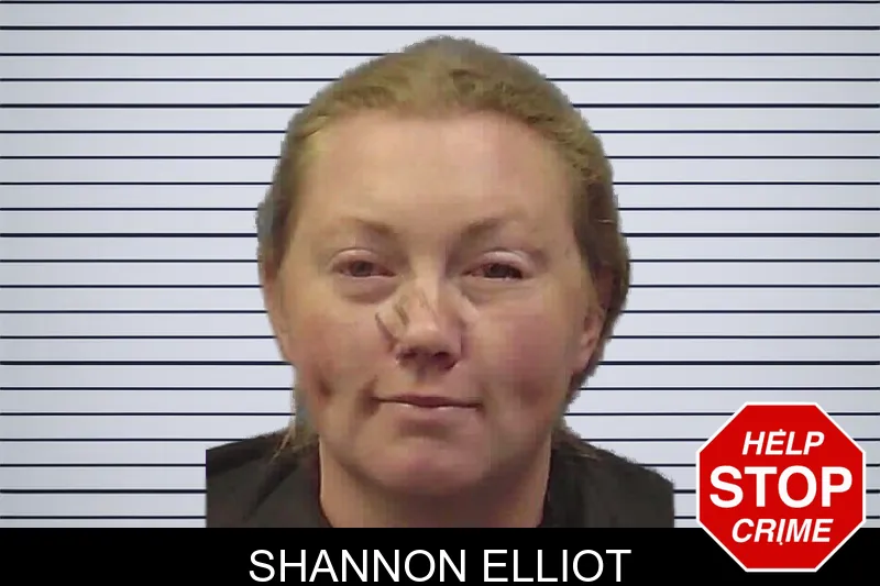 Shannon Elliot mugshot – Chattooga County , Georgia Shannon Elliot mugshot