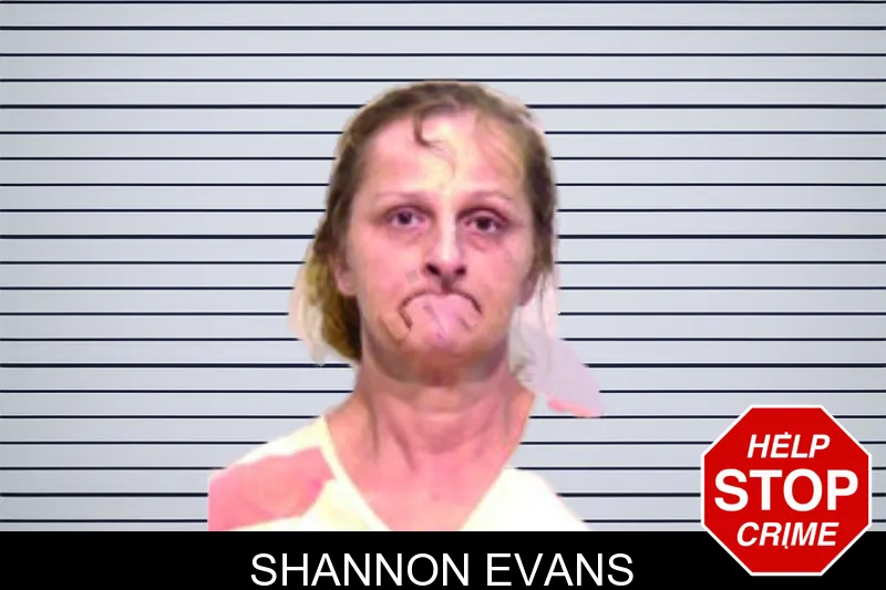 Shannon Evans mugshot – Bartow County , Georgia Shannon Evans mugshot