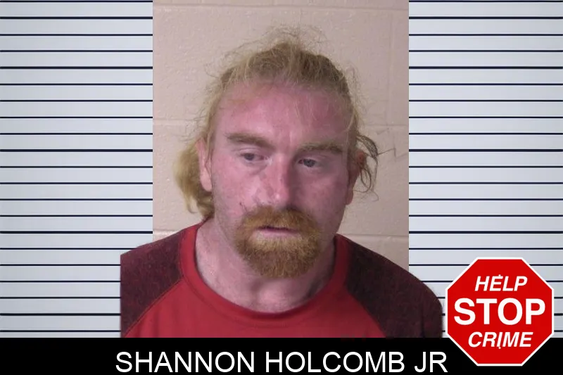 Shannon Holcomb Jr mugshot – Walker County , Georgia Shannon Holcomb Jr mugshot