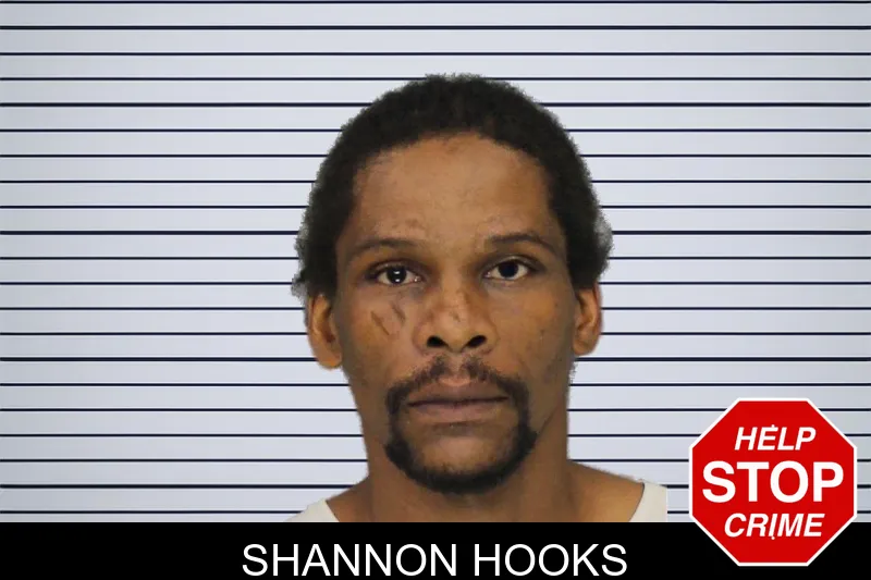 Shannon Hooks mugshot – Cobb County , Georgia Shannon Hooks mugshot