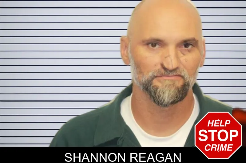Shannon Reagan mugshot – Chatham County , Georgia Shannon Reagan mugshot