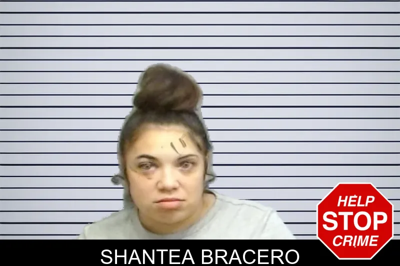 Shantea Bracero mugshot