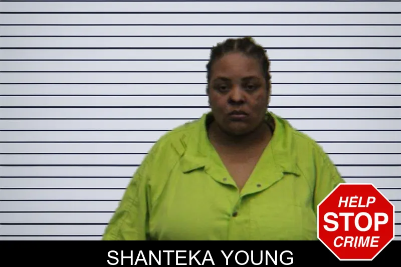 Shanteka Young mugshot – Turner County , Georgia Shanteka Young mugshot