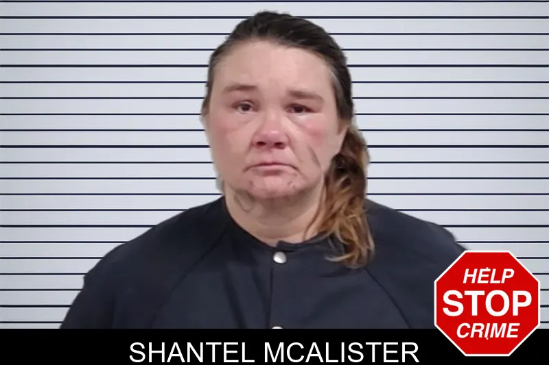 Shantel McAlister mugshot – Lowndes County , Georgia Shantel McAlister mugshot