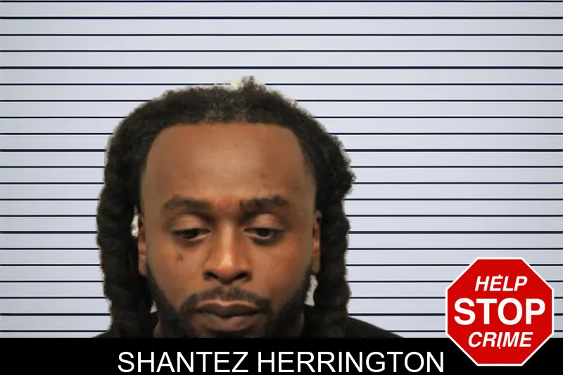 Shantez Herrington mugshot – Chatham County , Georgia Shantez Herrington mugshot