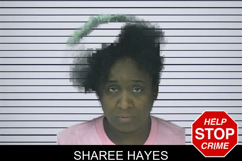 Sharee Hayes mugshot