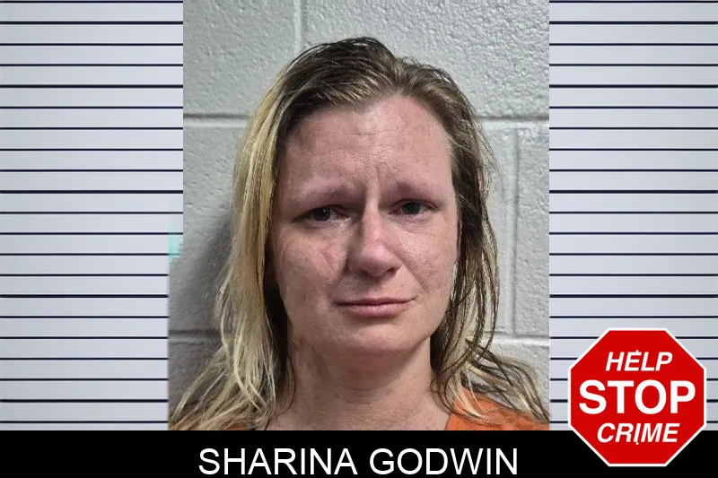 Sharina Godwin mugshot – Dade County , Georgia Sharina Godwin mugshot