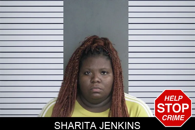 Sharita Jenkins mugshot – Twiggs County , Georgia Sharita Jenkins mugshot