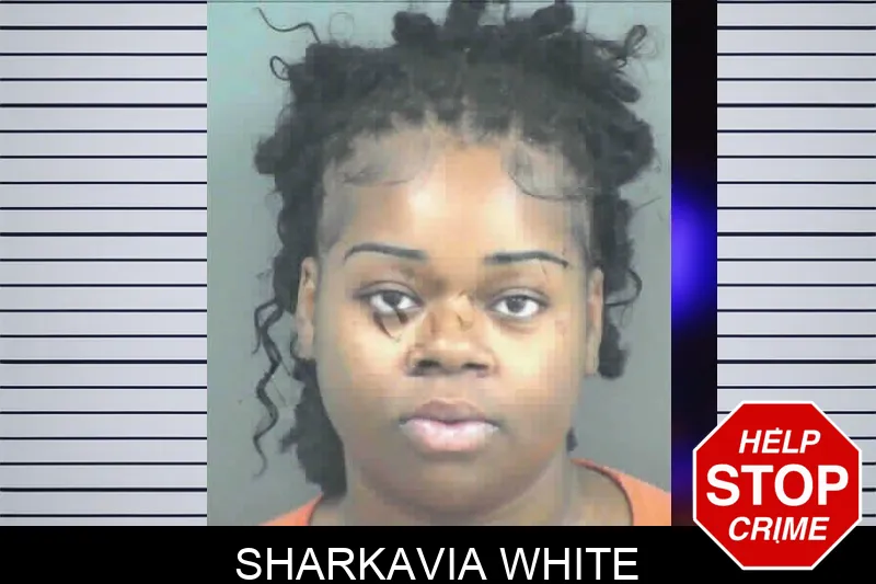Sharkavia White mugshot – Mitchell County , Georgia Sharkavia White mugshot