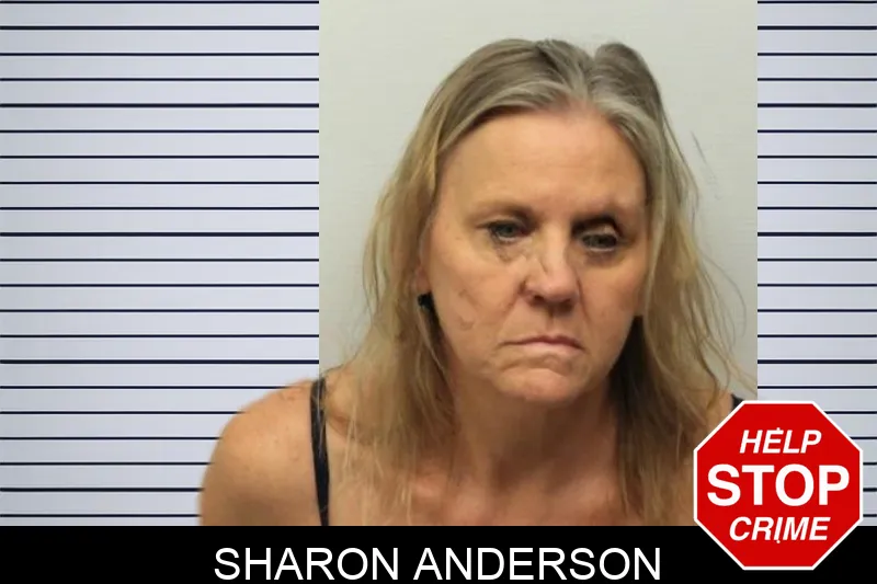 Sharon Anderson mugshot – Chatham County , Georgia Sharon Anderson mugshot