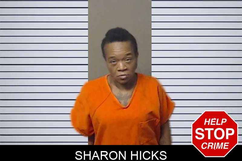 Sharon Hicks mugshot – DeKalb County , Georgia Sharon Hicks mugshot