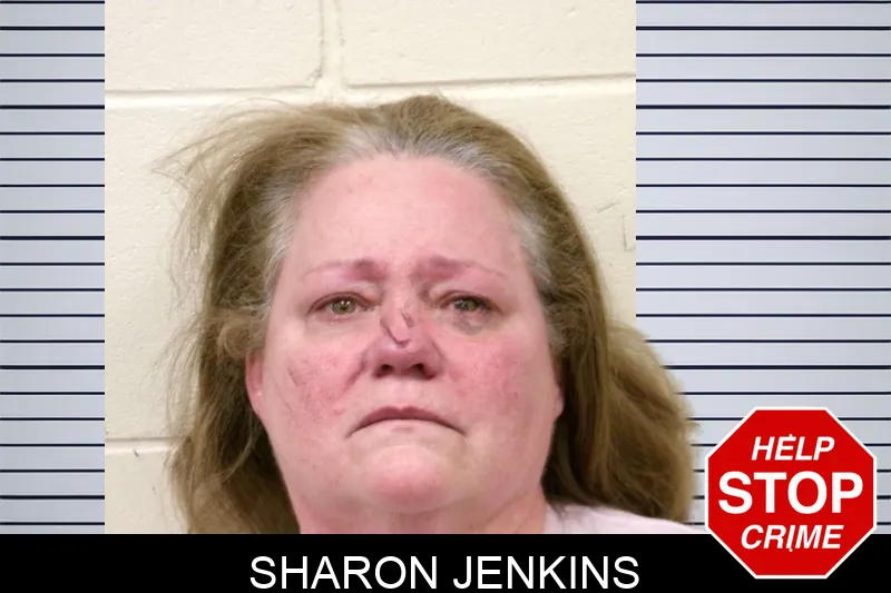 Sharon Jenkins mugshot