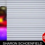 Sharon Schoenfield mugshot – Bacon County , Georgia Sharon Schoenfield mugshot