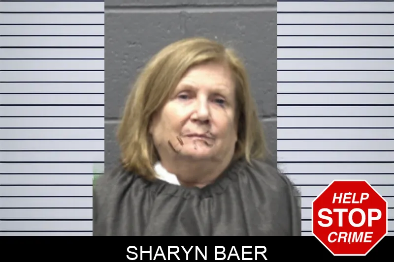 Sharyn Baer mugshot – Forsyth County , Georgia Sharyn Baer mugshot