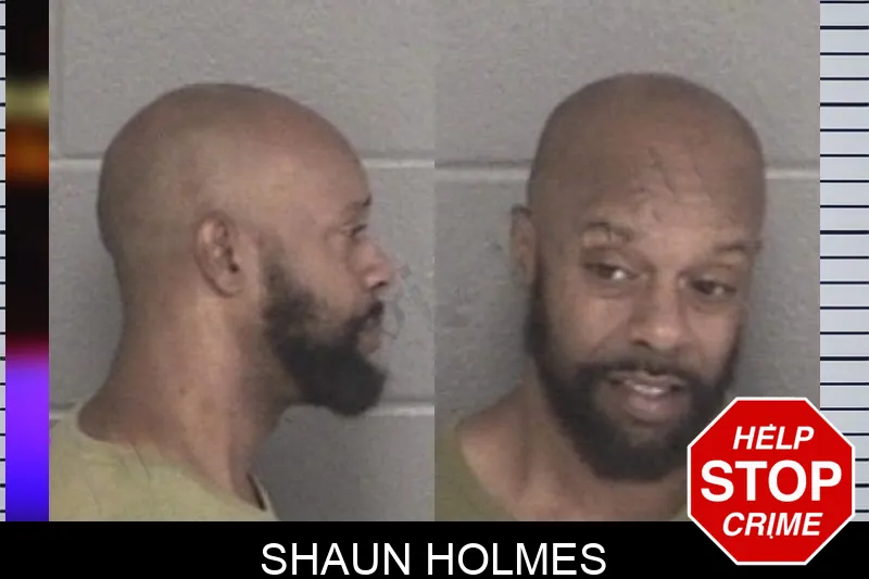Shaun Holmes mugshot – Barrow County , Georgia Shaun Holmes mugshot