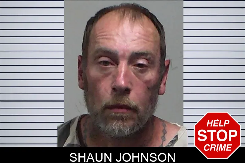 Shaun Johnson mugshot