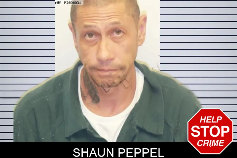 Shaun Peppel mugshot – Chatham County , Georgia Shaun Peppel mugshot