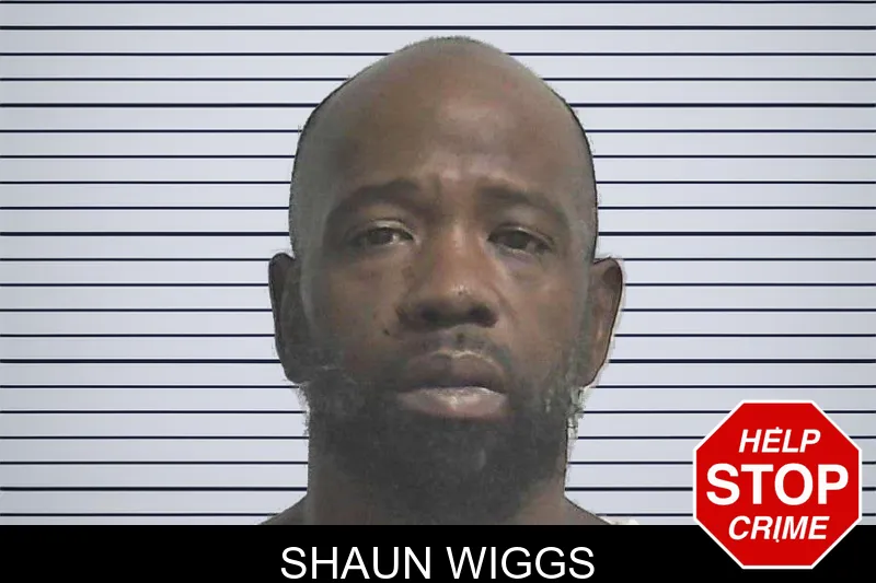 Shaun Wiggs mugshot