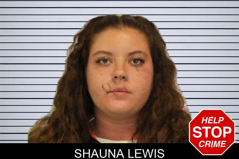 Shauna Lewis mugshot – Carroll County , Georgia Shauna Lewis mugshot