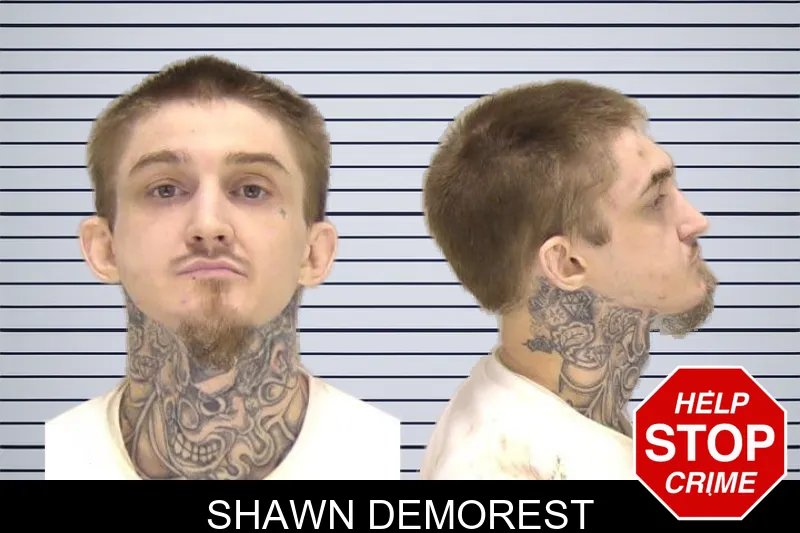 Shawn Demorest mugshot – Richmond County , Georgia Shawn Demorest mugshot